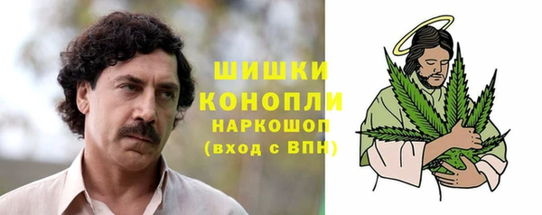 сатива Волоколамск