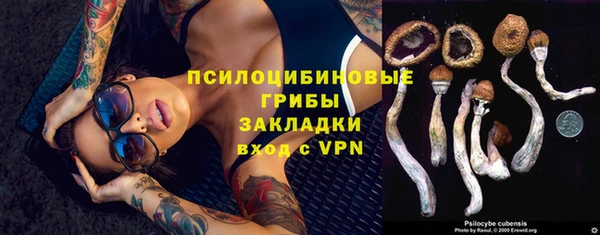 гашик Верхнеуральск