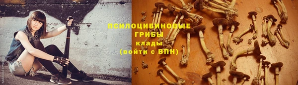 а пвп мука Володарск