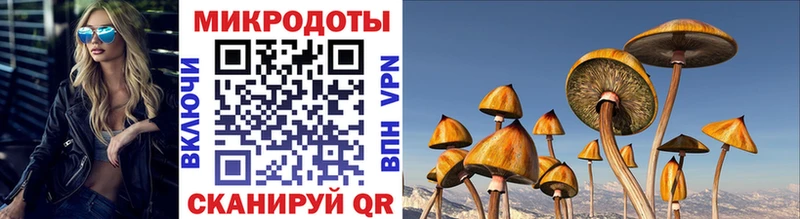 Галлюциногенные грибы Psilocybine cubensis  цена   мориарти как зайти  Калининск 